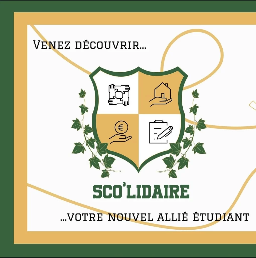 Publication réseau sociaux association Sco'lidaire